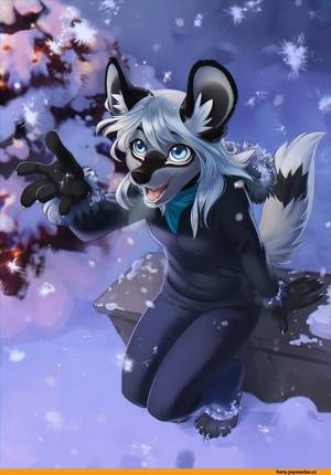 Female Wolf Furry Girl Porn - Nya, Female, very pretty, loves snow and winter, she loves lights.
