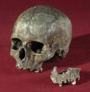 Anthropology Porn - MlDEC 1 1