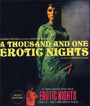 Forbidden Rare Porn Dvd Covers - A THOUSAND AND ONE EROTIC NIGHTS BLU-RAY & DVD â€“ Buds Art Books