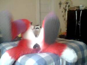 Furry Dildo Yaoi Porn - Fox and the Dildo - XNXX.COM