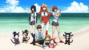 Anime Cat Planet Cuties Porn - When I was told about Cat Planet Cuties ...