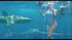 Cage Underwater - Porn star's underwater shoot ends with a shark and blood