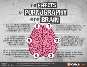 Effects Of - The Effects Of Pornograhy On The Brain | Catholic-Link