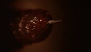 Body Horror Porn - Considering this was the first mainstream starring role for 70s porn  superstar Chambers (famous for the hit BEHIND THE GREEN DOOR back then),  she actually ...