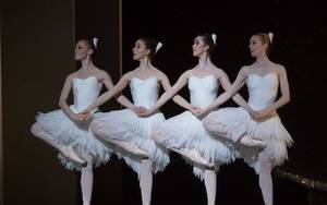 Ballerina Japanese Time Stop Porn - Swan Lake, by the Australian Ballet at the London Coliseum. Mrs Pechey has  performed