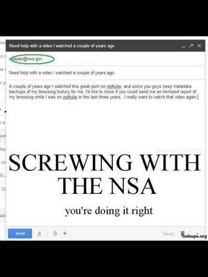 Funny Porn Certificates - Dear NSA please find my porn... #funny