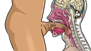 deep anal sex cross section - Cross Section Gay Sex | Gay Fetish XXX
