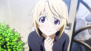 Harem Time Anime Porn - Welcoming Dewbond Back For a Retrospective Collaboration On Infinite  Stratos, or, That â€œRidiculous Harem Show Masquerading as Science Fictionâ€ |  The Infinite Zenith