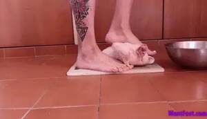 Baby Chicken Porn - Chicken Crush Porn Videos - FAPSTER