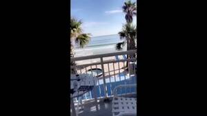 daytona beach anal sex - Daytona Beach with this Cutie Lily Freak all Weekend Anal Deepthoat Tight  Pussy my Cock Happy LOL - Pornhub.com