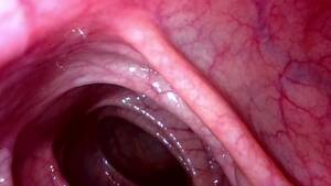 inside view of anal sex - Camera Inside Anal Porn Videos | Pornhub.com