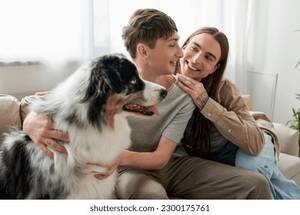 Australian Shepherd Furry Gay Porn - 2,110 Australian Hugging Images, Stock Photos, 3D objects, & Vectors |  Shutterstock