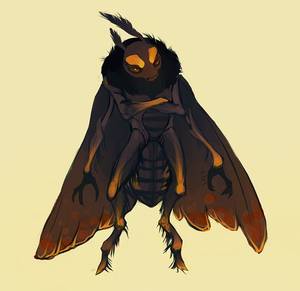 Moth Anthro Porn - moth by CoconutMilkyway
