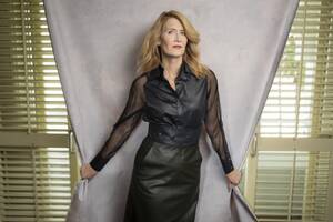 Laura Dern Jurassic Park Porn - Laura Dern on 'Marriage Story' and returning to 'Jurassic Park' - Los  Angeles Times