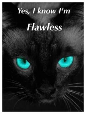 black cat scans bc series nude - Eyes, 1, Black Cats, Kitty, Cuddle Cat, Kitten, Cats, Human Eye, Kittens