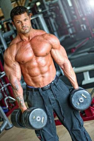 German Bodybuilders Gay Porn - Amateur bodybuilder here showcasing muscular men and bodybuilders with some  sexual situations.