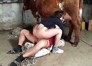 Cow Sex Porn - Cow Porn Videos / Horse Sex Zoo / Most popular Page 1