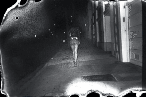 black sluts forced to fuck - The Rise and Fall of RedBook, the Site That Sex Workers Couldn't Live  Without | WIRED