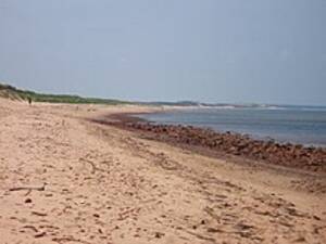 bahamas beach sex voyeur - List of social nudity places in North America - Wikipedia