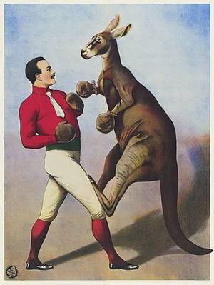 Kangaroo Boxing Porn - Boxing Kangaroo Cigarette Case or Business or ID Case Wallet Classic Circus  sideshow imagery retro kitsch New