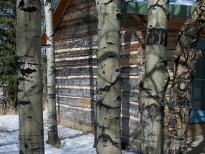 love spirit sex - 016