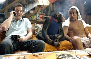 Joel David Moore Gay Porn - Stars: Allen Covert, Nick Swardson, Doris Roberts, Linda Cardellini,  Shirley Jones, Shirley Knight, Joel David Moore, Kevin Nealon, Jonah Hill,  Peter Dante