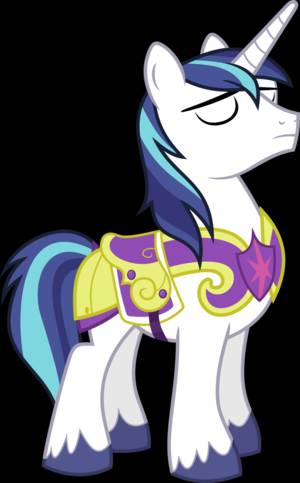 Flashlight Mlp Porn - My Little Pony Friendship Is Magic Porn | Shining Armor - Proud by ~ Hawk9mm