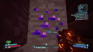 Borderlands 2o Mags - I've never seen this before.