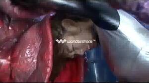 Gay Japanese Porn Octopus - Japanese Octopus Vore part 1 - ThisVid.com