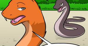 Furry Snake Girl Porn - 