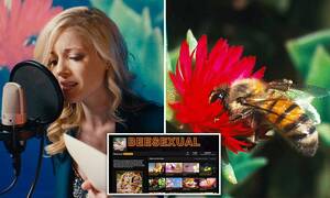 Honey Bee - Pornhub's 'Beesexual' campaign features videos of bees mating while porn  stars make sex noises | Daily Mail Online