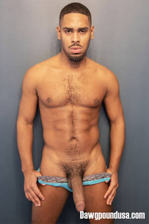 Dawgpoundusa Porn - Porn Star Jayden Jaxx- Black Gay Porn Video Page - . He stars in 1  dawgPoundUSA video Production.