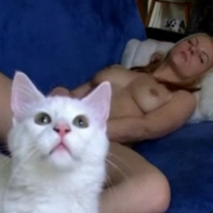 Cat Amateur Porn - thumbs.pro : Indifferent cats in amateur porn