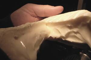 Cheese - Tuesday cheese porn - Tomato