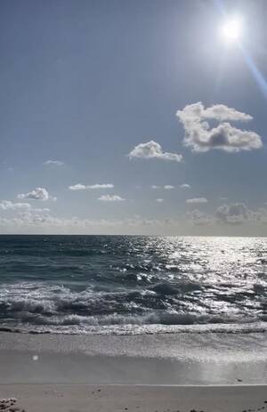 Florida Beach Porn - Gorgeous day at Haulover beach, Florida : r/Beachporn