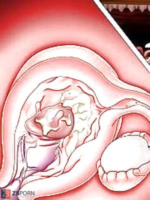 massive cock deepthroat hentai - Deep inwards Hentai - Xray look