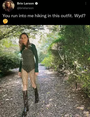 Brie Larson Porn Captions - Not me brie larson is asking nude porn picture | Nudeporn.org