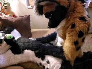 Furry Sex Costume Porn - Free Fursuit Porn | PornKai.com