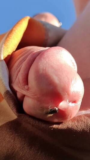 close up blowjob flying cum - Dirty: Close up of a fly eating my precum - ThisVid.com