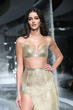 Amanda Cerny Boobs Porn - Ananya Pandey [3648x5472]- High Quality Picture - Ultra HQ