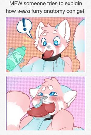 Furry Anatomy Porn - FurryðŸ˜irl : r/furry_irl