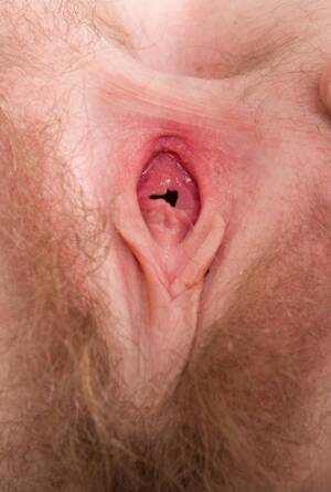 Beautiful Open Pussy Close Up - Open Pussy Close Up Porn Pics & Naked Photos - PornPics.com