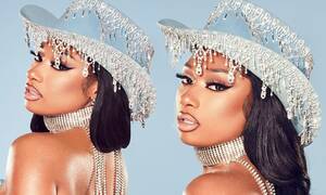Fox Megan Rihanna Pussy Slip - Megan Thee Stallion poses topless in a sparkly thong and crystal crusted  cowboy hat | Daily Mail Online