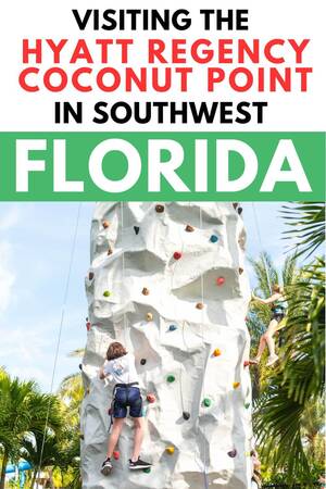 Masha Babko Lesbian Porn - Hyatt Regency Coconut Point: a Family Friendly Resort in Florida