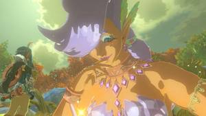 Cartoon Fairy Porn - The Legend of Zelda: Breath of the Wild - All Great Fairy Sounds