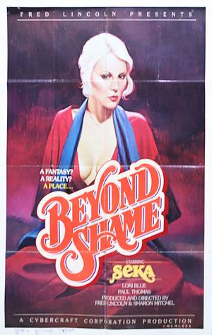 70s porn posters - I was always interested in obtaining some porno posters from the 70s and  80s, so I snapped up ...