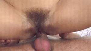 cock in hairy pussy - Hairy Vagina On An Erect Penis Porn Gif | Pornhub.com