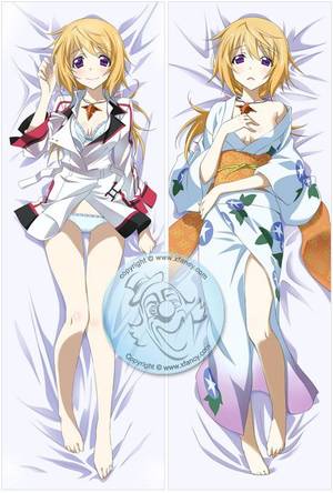 Infinite Stratos Porn Big Boobies - Infinite Stratos Charlotte Dunois Dakimakura