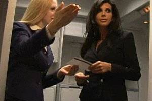 Airplane Cartoon Bathroom Porn - Passengers having quickie in an airplane!