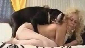 Bull Sex Porn - Bull sex zoo porn